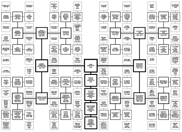[plaatje van kwartierstaat]