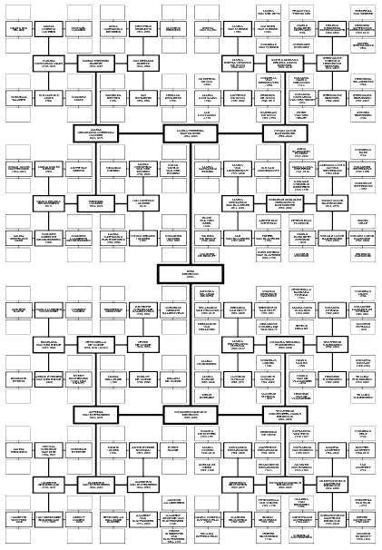 [plaatje van kwartierstaat]